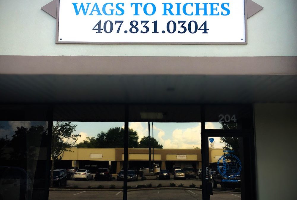 New Wags To Riches Location